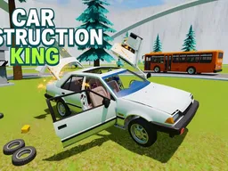 Car Destruction King